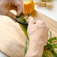 Фото Нож для чистки овощей с подвижным лезвием Fiskars Form (Y форма) 1016122