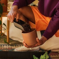 Совок для пересадки растений Fiskars Solid 1071303