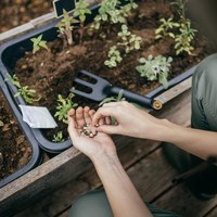 Культиватор Fiskars Solid 1072102