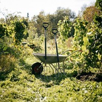 Вилы садовые Fiskars Ergonomic 1070679