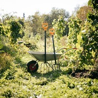 Вилы для компоста Fiskars Solid 1070674