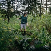 Мотыга-рыхлитель от сорняков Fiskars Ergonomic 1077111