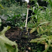 Фото Мотыга-рыхлитель Fiskars Solid 1077119