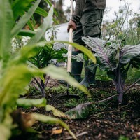 Мотыга Fiskars Solid 1011613