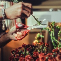 Ножницы универсальные для левши Fiskars 21 см 1075037