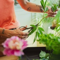 Ножницы для комнатных растений Fiskars 1075316