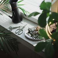 Ножницы для комнатных растений Fiskars 1075316