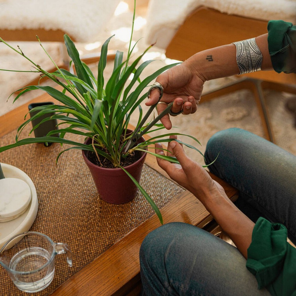 Ножницы для обрезки комнатных растений Fiskars 1075315