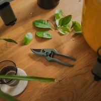 Фото Набор для комнатных растений Fiskars 4 пр 1075317